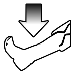 Gravity's Pull